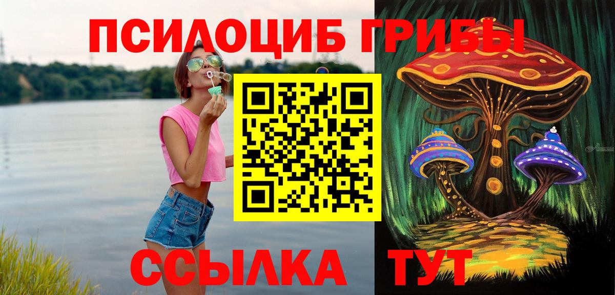 Галлюциногенные грибы Psilocybine cubensis Камышин