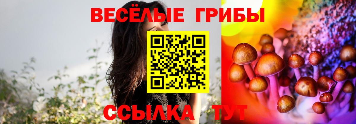 Псилоцибиновые грибы мицелий  Вход с VPN  Камышин 